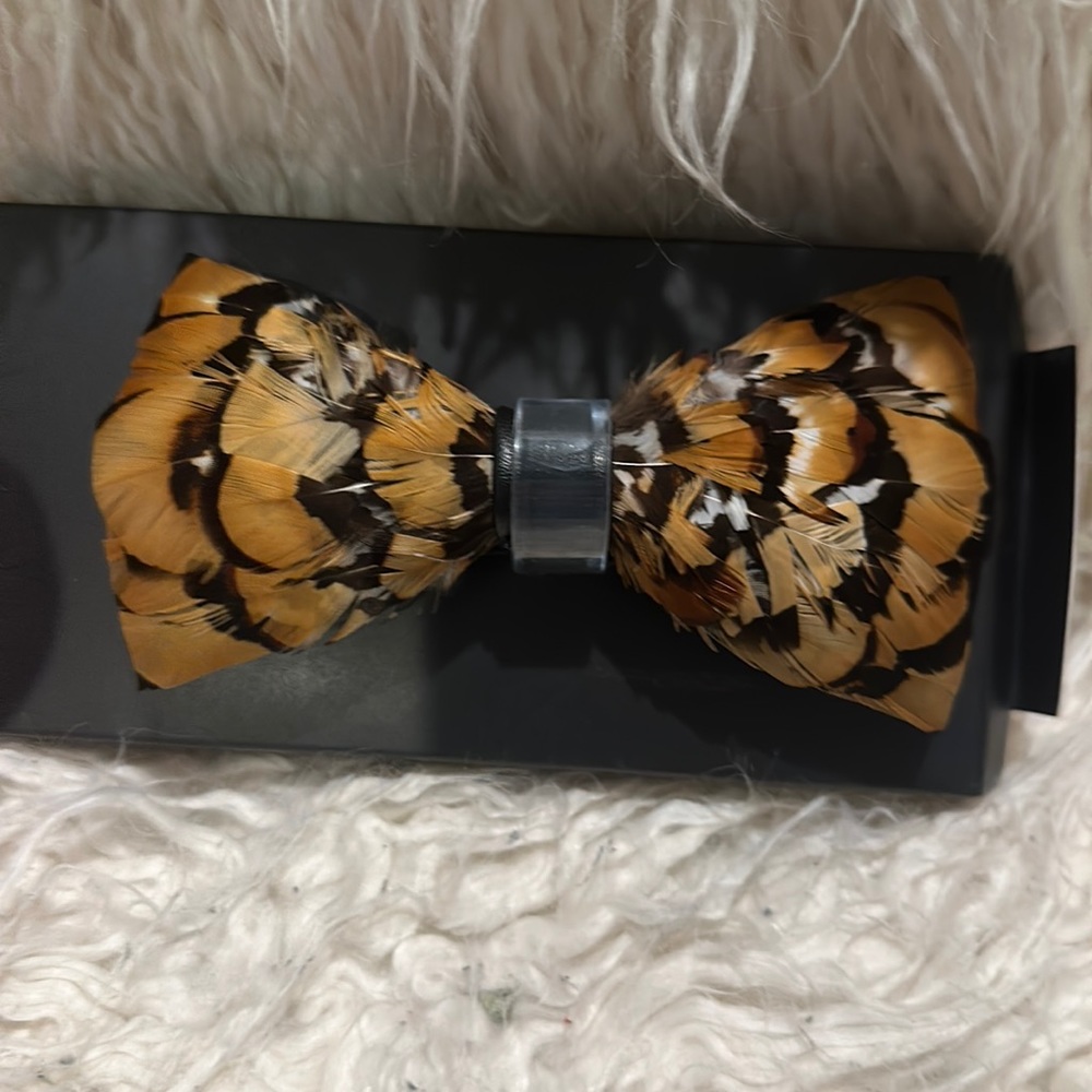 Brand new really unique feather bow tie    Tallia brand from Macys
